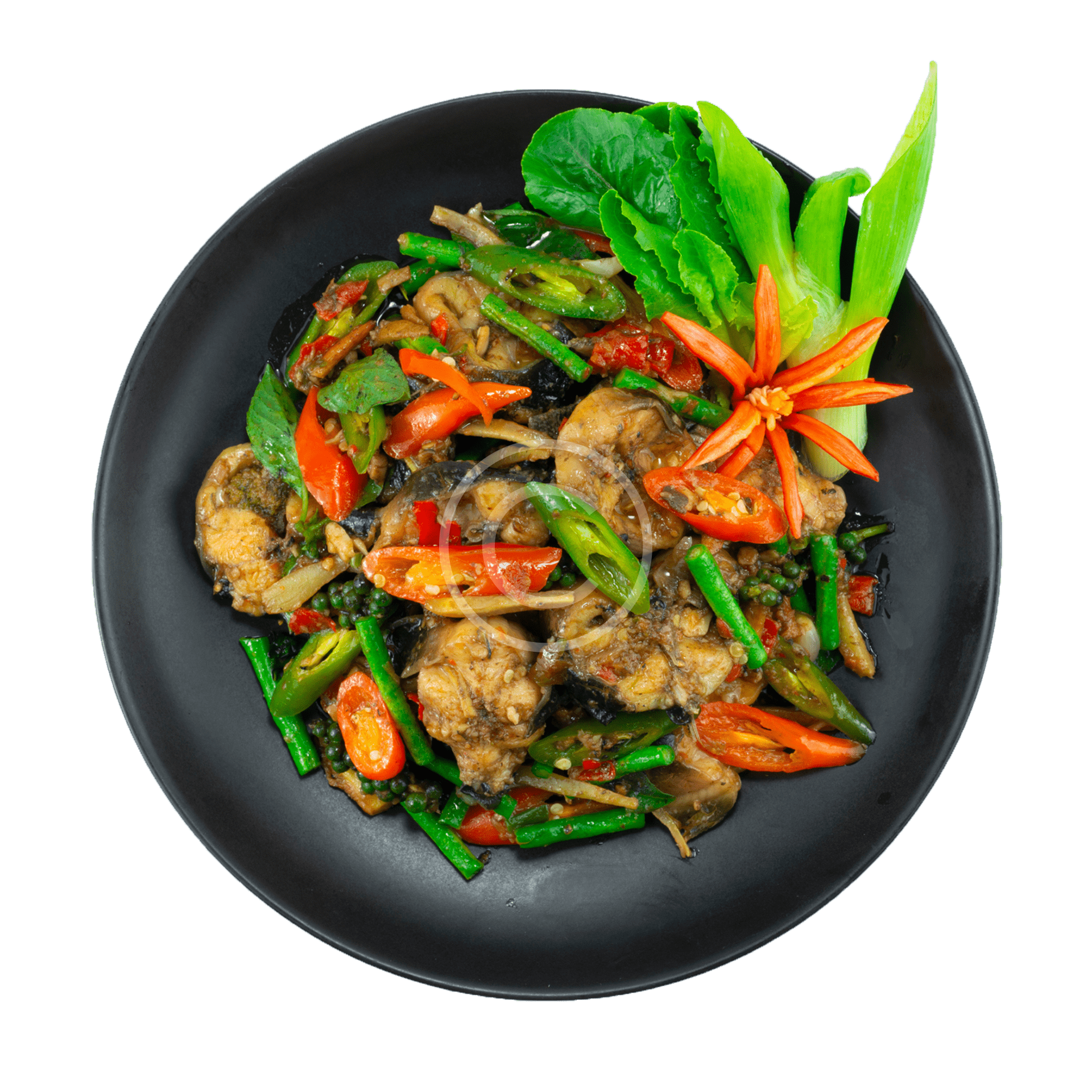 product-10-copyright