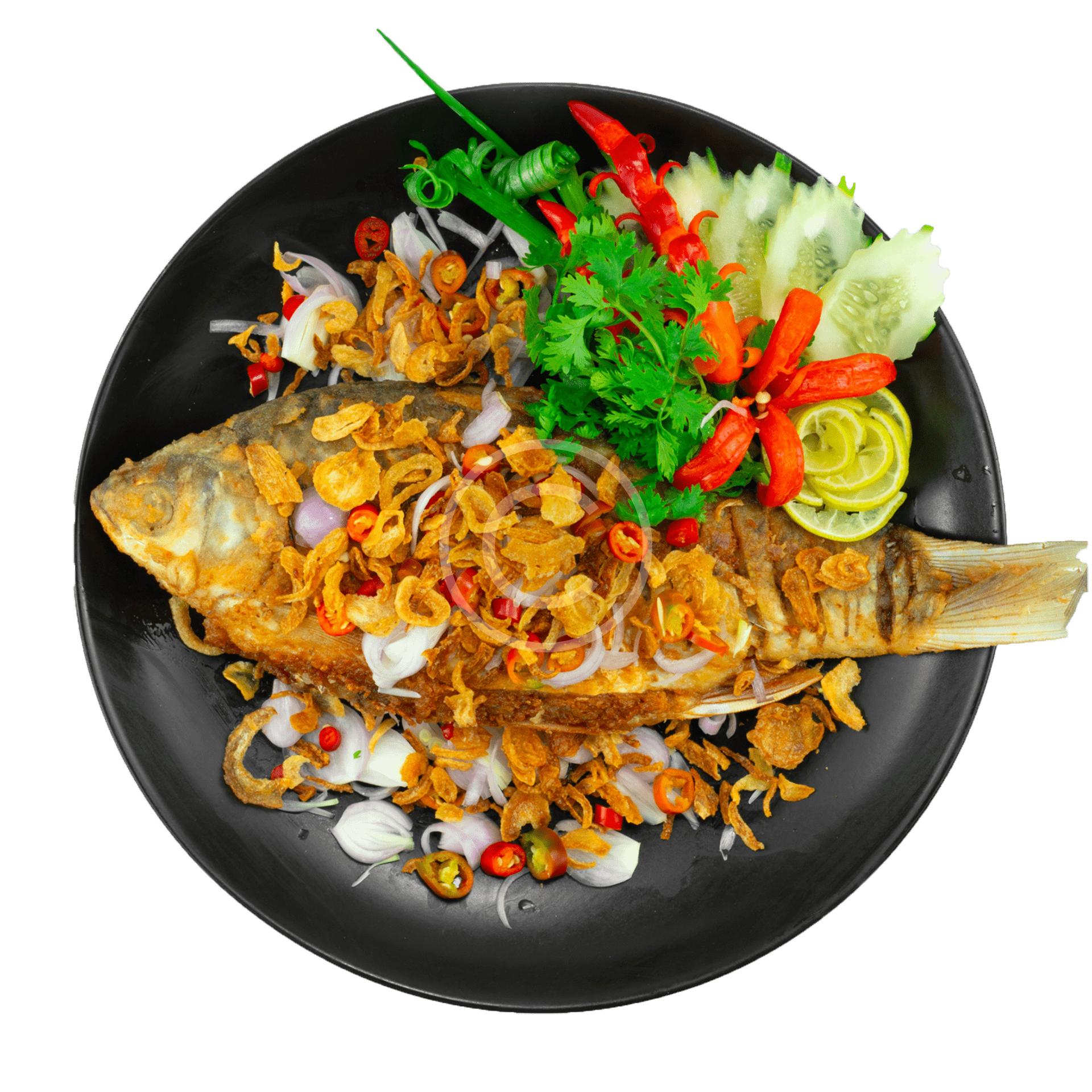 product-11-copyright